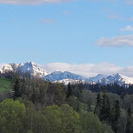 Domki U Jacka Sauna Bilard Tenis Air Hockey Pilkarzyki Bawialnia Plac Zabaw Zakopane Buitenkant foto